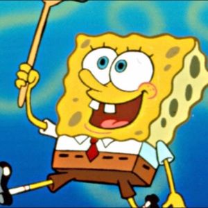 Meet your Posher, Brady